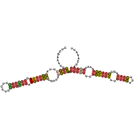 secondary structure