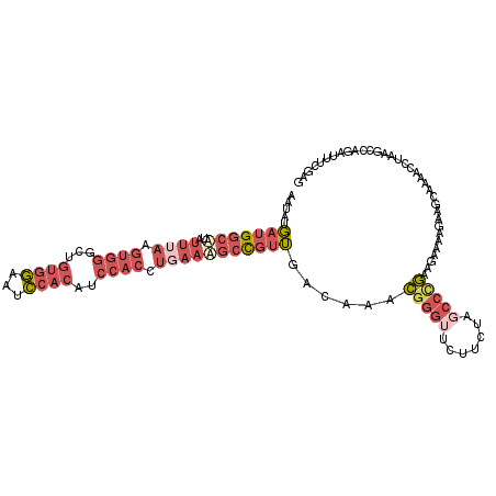 secondary structure