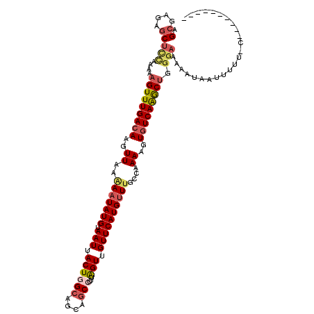 secondary structure