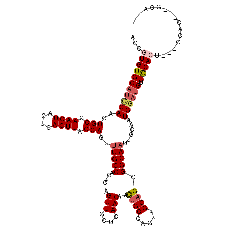 secondary structure