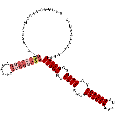 secondary structure