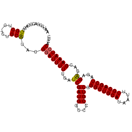 secondary structure