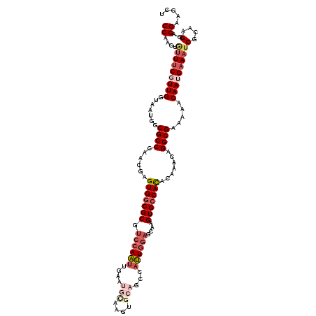 secondary structure