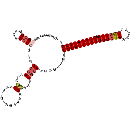 secondary structure
