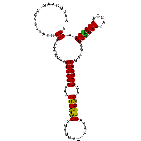 secondary structure