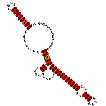 secondary structure