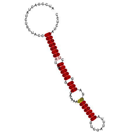 secondary structure