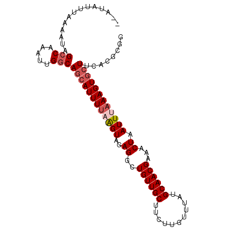 secondary structure