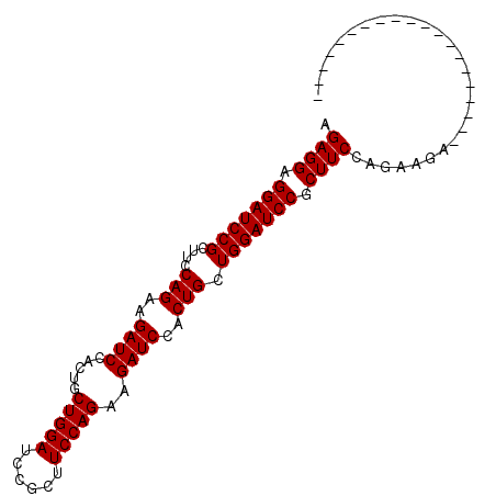 secondary structure