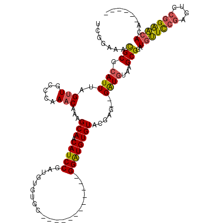 secondary structure