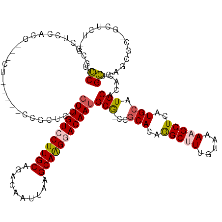 secondary structure