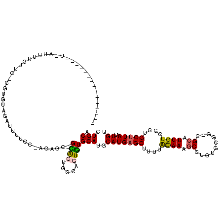 secondary structure