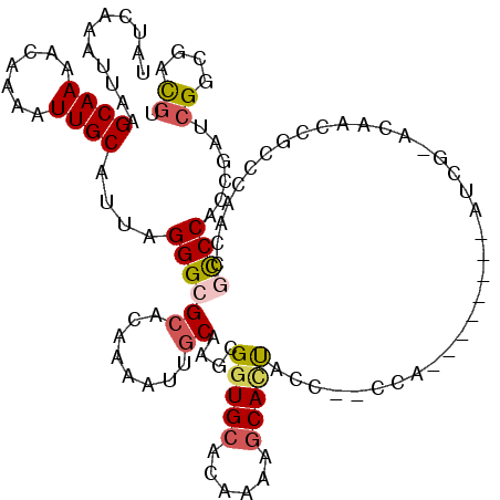 secondary structure