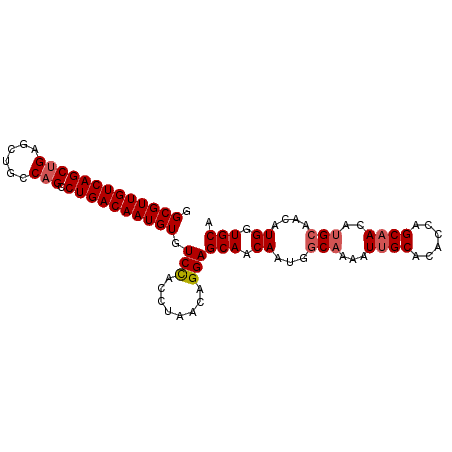 secondary structure