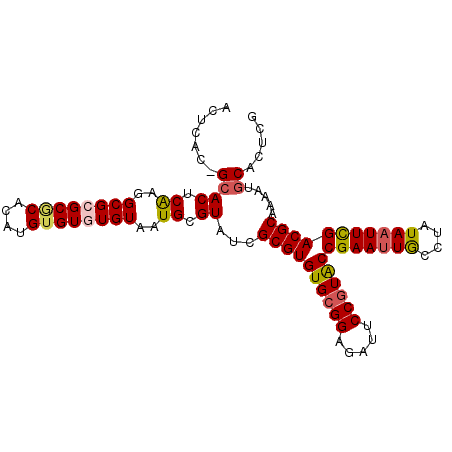 secondary structure
