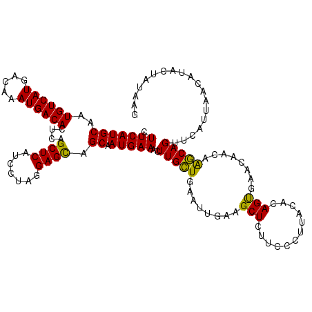 secondary structure