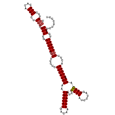 secondary structure