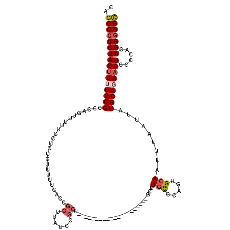 secondary structure