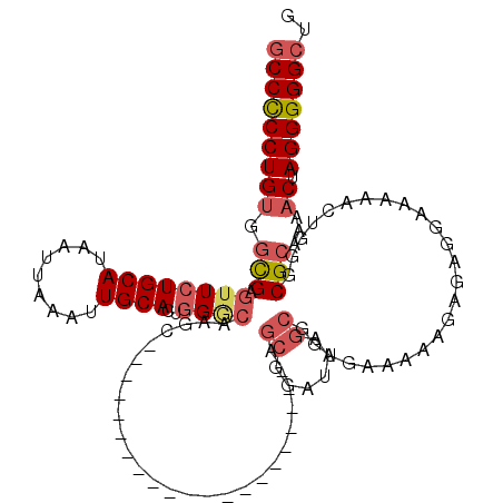 secondary structure
