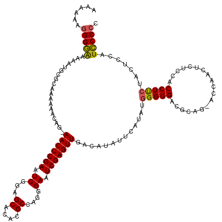 secondary structure