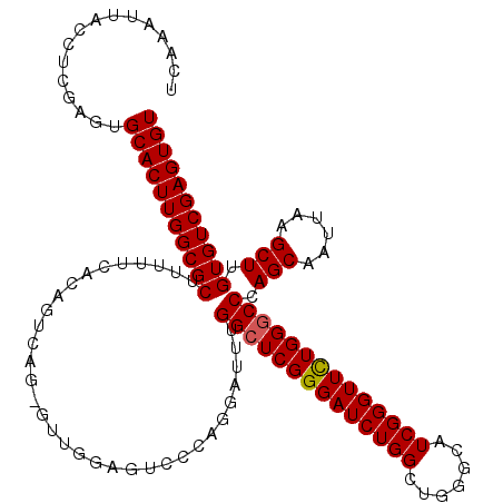 secondary structure