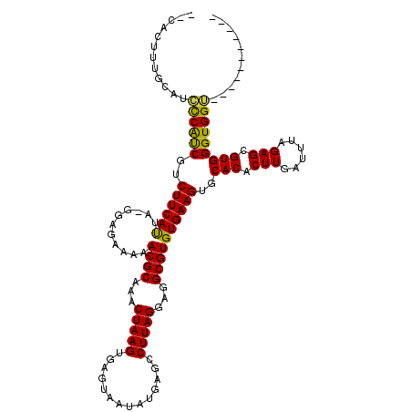 secondary structure