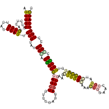 secondary structure