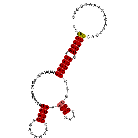 secondary structure