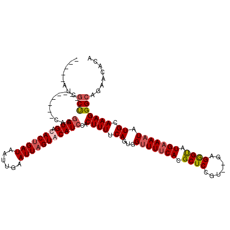 secondary structure