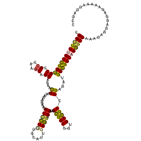 secondary structure