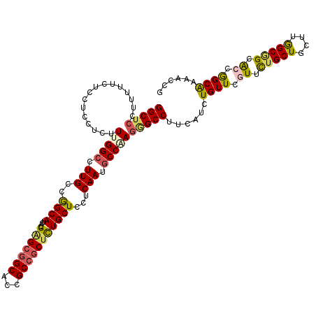 secondary structure