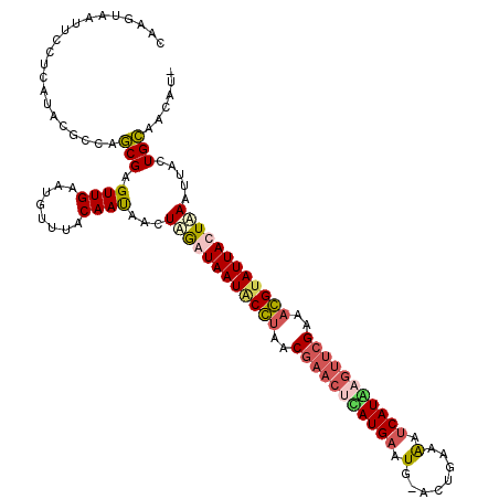 secondary structure