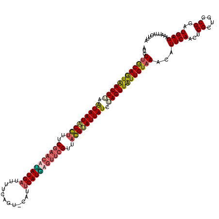 secondary structure