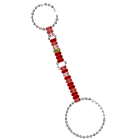 secondary structure
