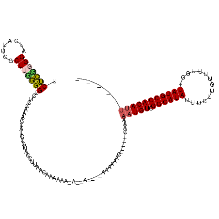 secondary structure