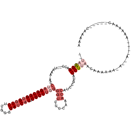 secondary structure