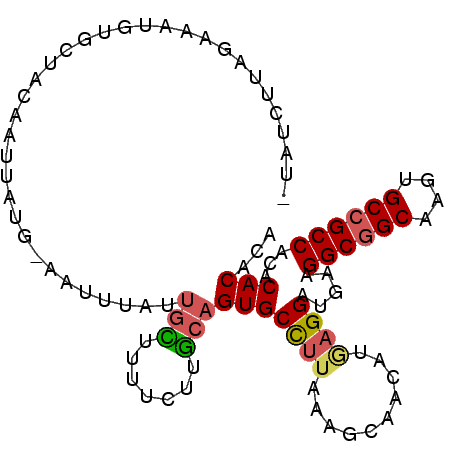 secondary structure