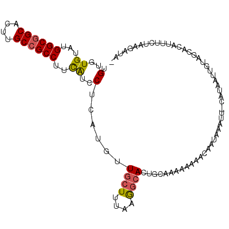 secondary structure