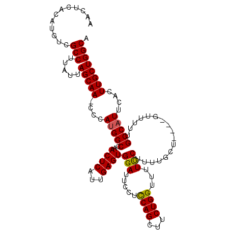 secondary structure
