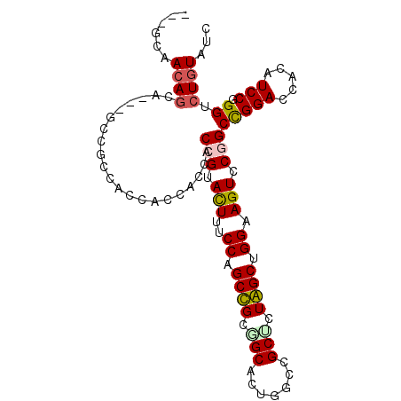 secondary structure