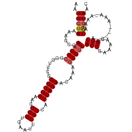 secondary structure