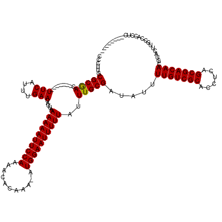 secondary structure