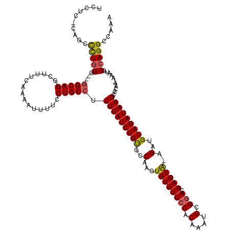 secondary structure