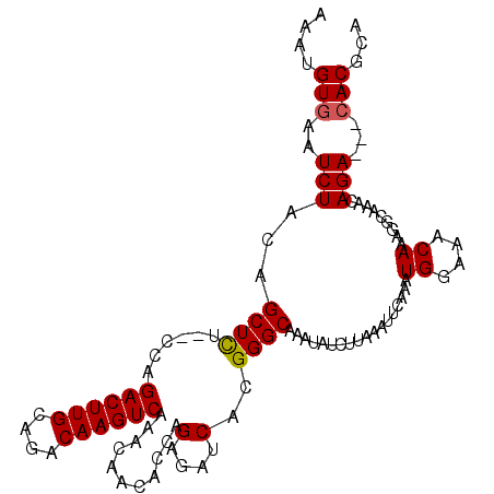 secondary structure