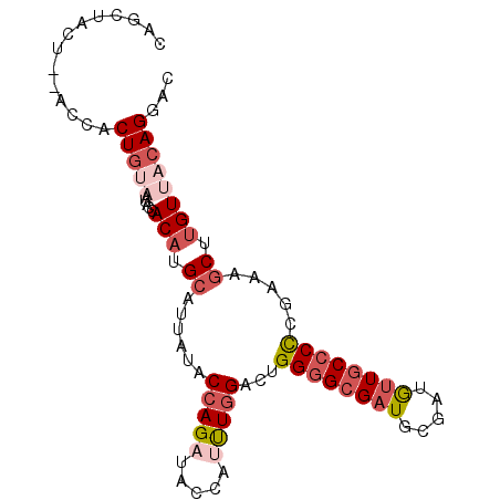 secondary structure