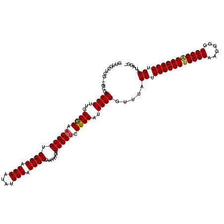 secondary structure