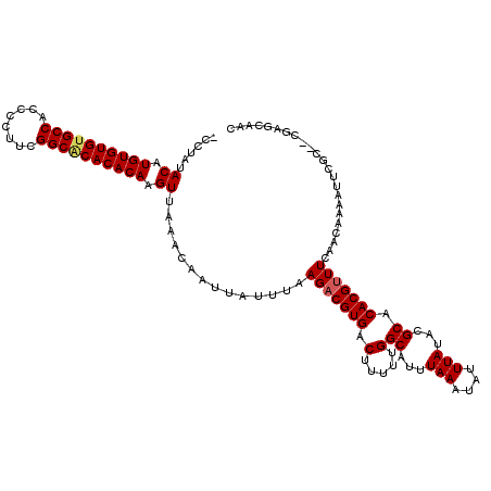 secondary structure