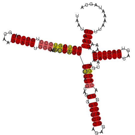 secondary structure