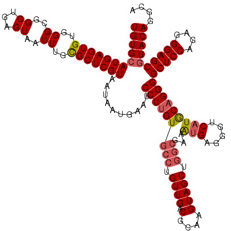 secondary structure