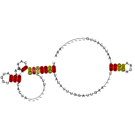 secondary structure